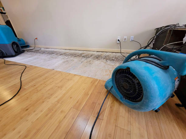Professional Ceiling Water Damage Repair technician working in Bells, TN